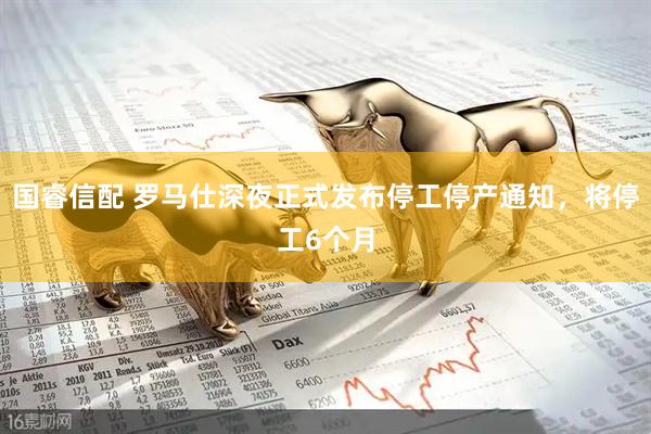 国睿信配 罗马仕深夜正式发布停工停产通知，将停工6个月