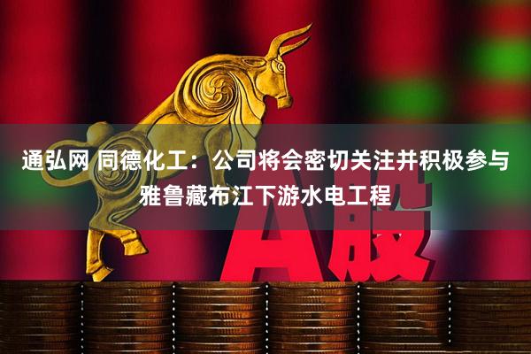 通弘网 同德化工：公司将会密切关注并积极参与雅鲁藏布江下游水电工程