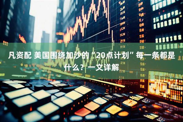 凡资配 美国围绕加沙的“20点计划”每一条都是什么？一文详解