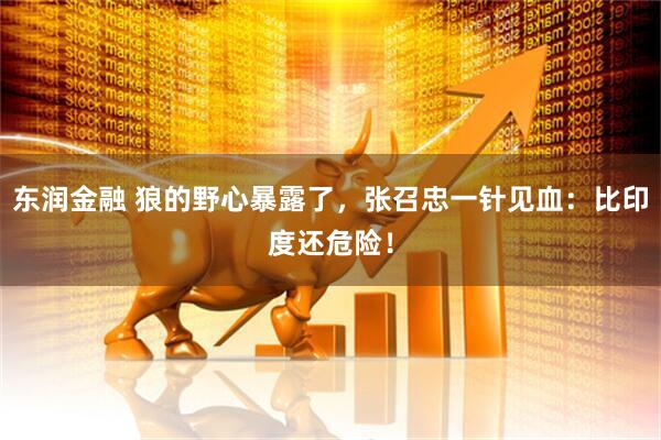 东润金融 狼的野心暴露了，张召忠一针见血：比印度还危险！